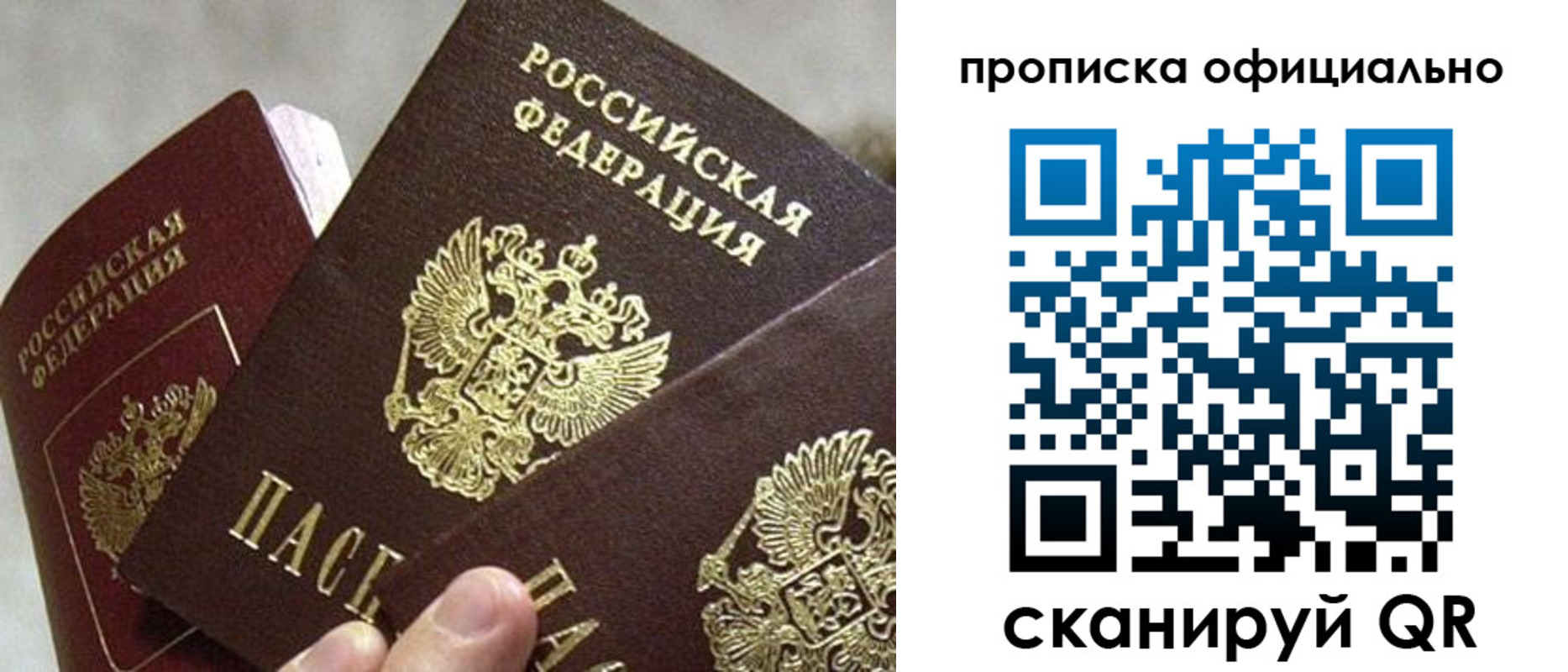 прописка гарантия в Долгопрудном